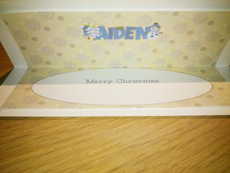 Cute Snowman Aiden Large Dl Insert by Hayley Griffiths