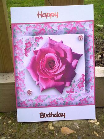 Rose in Pink Floral Frame by Hayley Griffiths