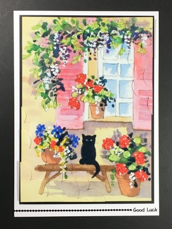 Cat on Windowsill by Hazel Pepper