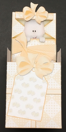 Baby Shower Party Favour Place Setting Gift Box by Hazel Pepper
