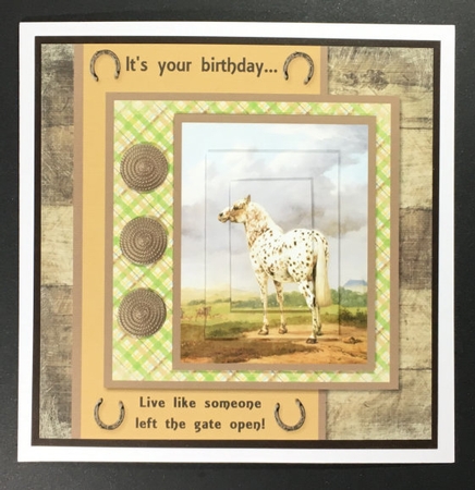 Horse Male Birthday Mini Kit - Someone Left the Gate Open by Hazel Pepper
