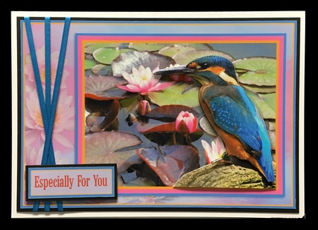 Kingfisher & Waterlillies by Hazel Pepper