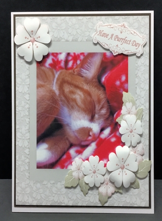 Sleeping Tiggi by Hazel Pepper