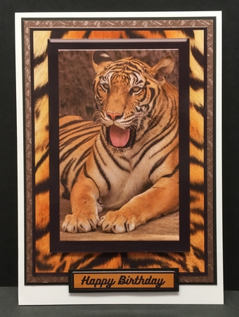 Tiger, Tiger by Hazel Pepper