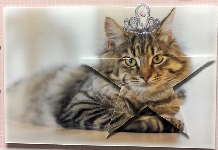 Cats Were Gods by Hazel Pepper
