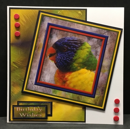 Colourful Parrot Topper by Hazel Pepper