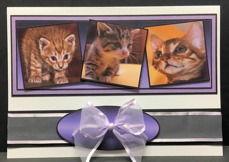 kittens by Hazel Pepper