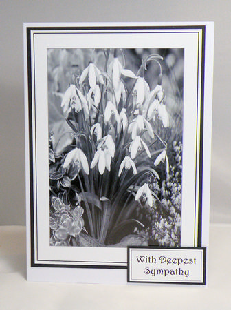 Black and White Snow Drops Sympathy Card by Hazel Pepper