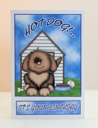 Hot Dog! Birthday Card Step by Step Card by Hazel Pepper