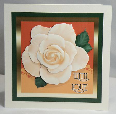 Apricot Rose by Hazel Pepper