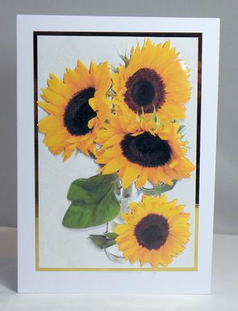 Sunflowers by Hazel Pepper