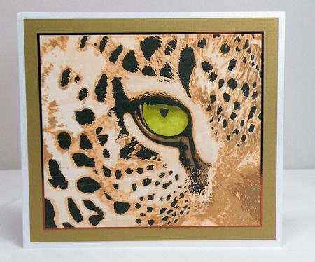 Eye of the Tiger by Hazel Pepper