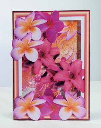Inside Out Card Frangipanni Hot Pink by Hazel Pepper