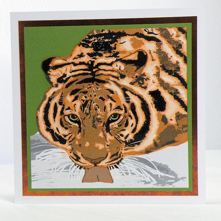 Tiger Drinking by Hazel Pepper