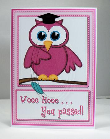 A5 Wise Owl Exam Good Luck Felties Oval Pyramage Topper by Hazel Pepper