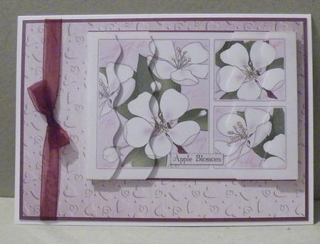 'metallic Hearts Embossed' Backing Paper by Hazel Pepper