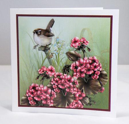 Wren with Geraniums by Hazel Pepper