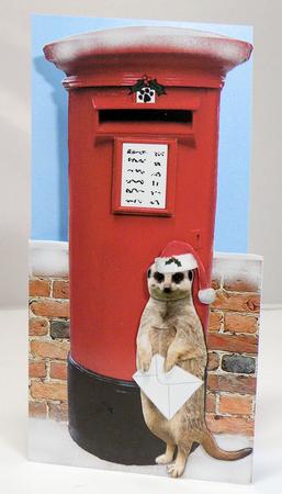 Meerkat Christmas Post Box by Hazel Pepper