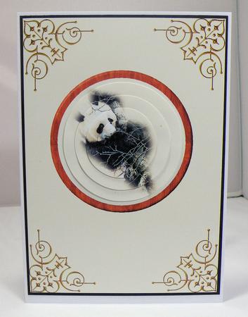 Panda by Hazel Pepper
