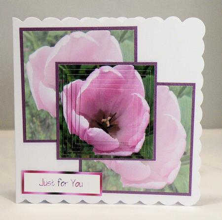 Pink Tulip Pyramid Sheet by Hazel Pepper