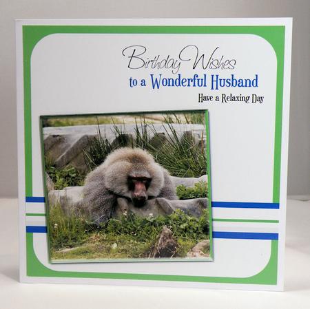Baboon Husband Birthday 8x8inch Card Front by Hazel Pepper