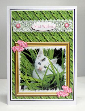 White Kitty Cat Qs by Hazel Pepper