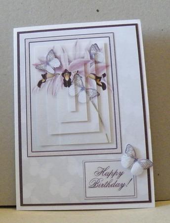 Butterflies and Orchids Backing Sheet 2 by Hazel Pepper