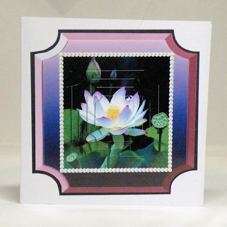Lotus Flower by Hazel Pepper