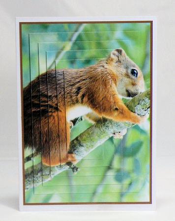 Red Squirrel Climbing Up a Tree Pyramid by Hazel Pepper