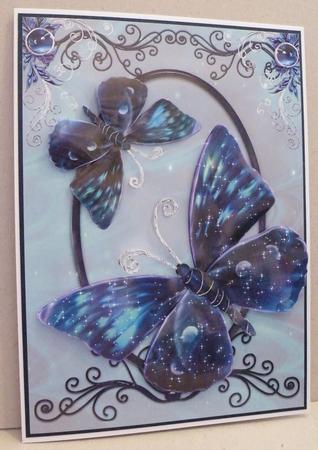 A4 Butterflies by Hazel Pepper