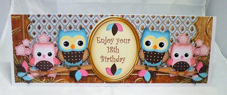Pink Blue Owls 18th Birthday Large Dl Card Kit by Hazel Pepper