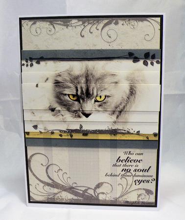 Lechat 3, Eyes on You by Hazel Pepper