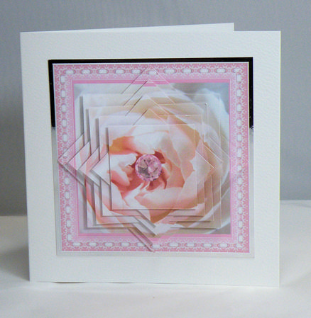 White Rose with Pink Diamond Star Pyramid by Hazel Pepper