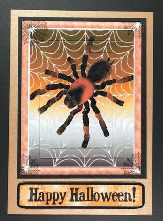 Spider Halloween by Hazel Pepper