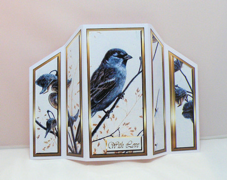 Bird Theatre Fold 2 by Hazel Pepper