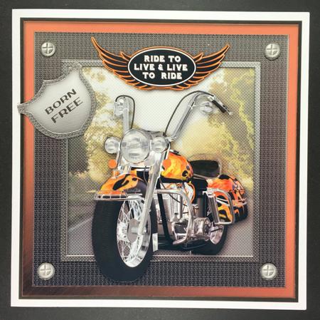 Live to Ride 8x8 Cycle Kit by Hazel Pepper