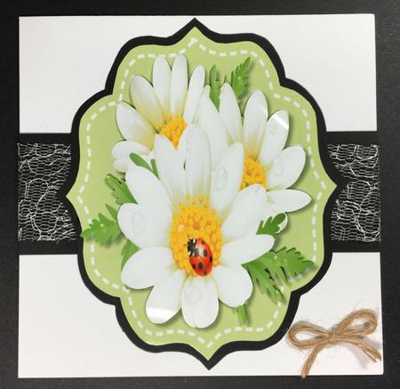 Lovely Topper with Daisy's and Ladybird by Hazel Pepper