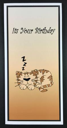 Catzzz by Hazel Pepper