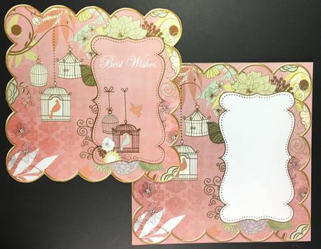 Pink Birdcage 8in Envelope Mini Kit by Hazel Pepper