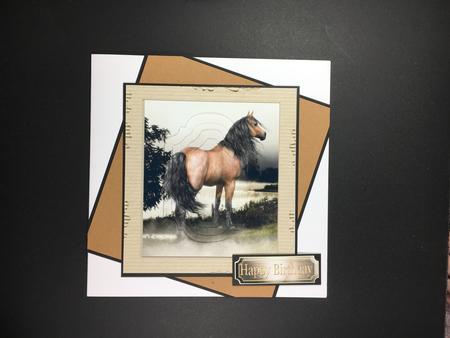 Beautiful Horse Grazing, Bracket Pyramids by Hazel Pepper