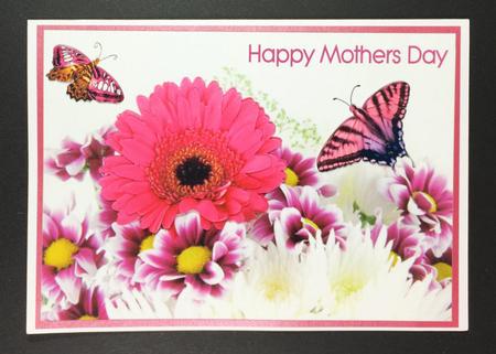 Gerbera & Butterflies by Hazel Pepper