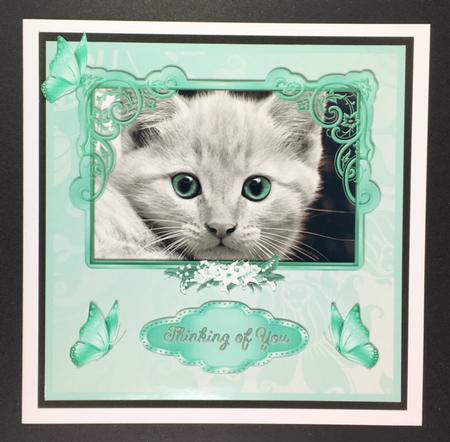 Green-eyed Kitten 7 x 7 Card by Hazel Pepper