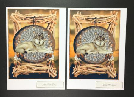 Wolf Native Dreams Mini Kit by Hazel Pepper
