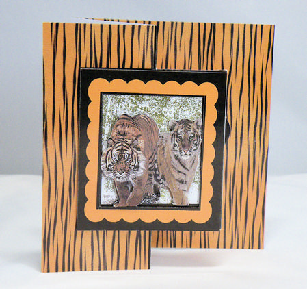 Tigers of Africa - Fold Back Card by Hazel Pepper
