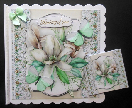 Beautiful White Magnolias by Hazel Sumner
