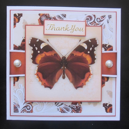 Butterfly A-G by Hazel Sumner