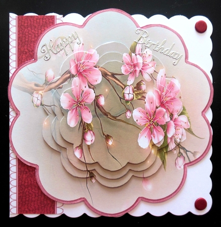 Cherry blossom scallop by Hazel Sumner