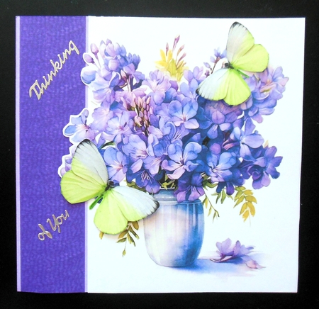 Beautiful jacaranda flowers  by Hazel Sumner
