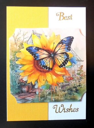 6 Floral butterfly toppers 2 by Hazel Sumner