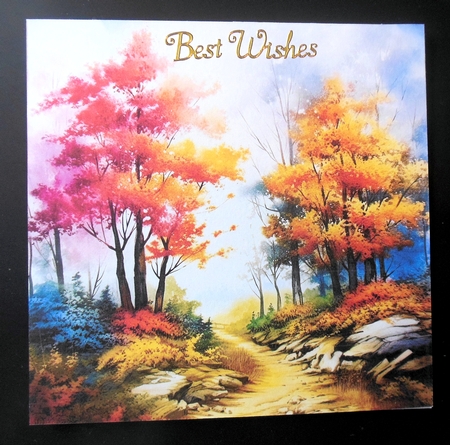 Watercolor Nature Scenes 8x8 Backgrounds - set 1 by Hazel Sumner